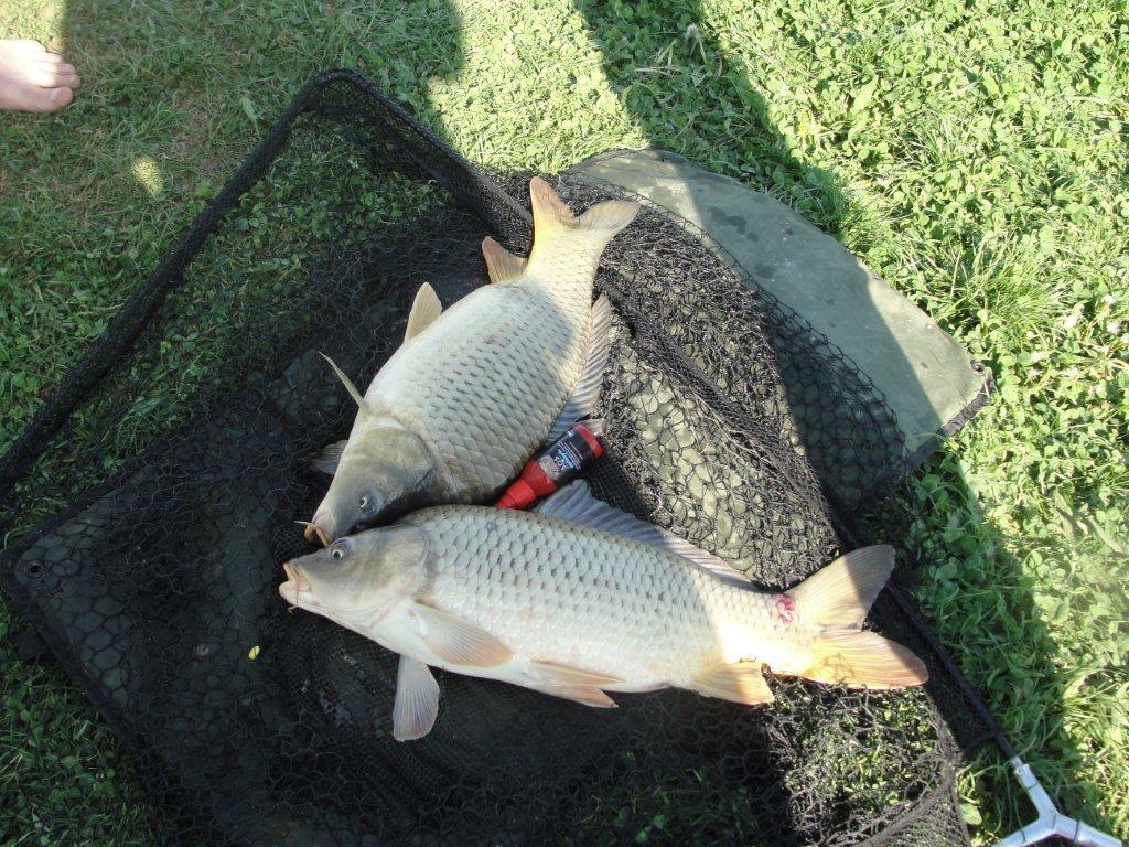 Floarea Popestiului 30.04.2012 - dsc03845.JPG